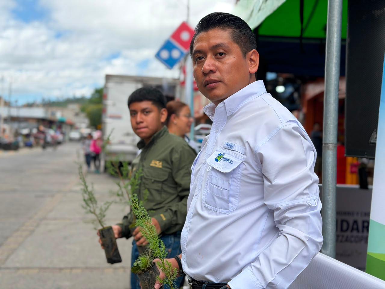 Colaborador entregando un árbol para reforestación