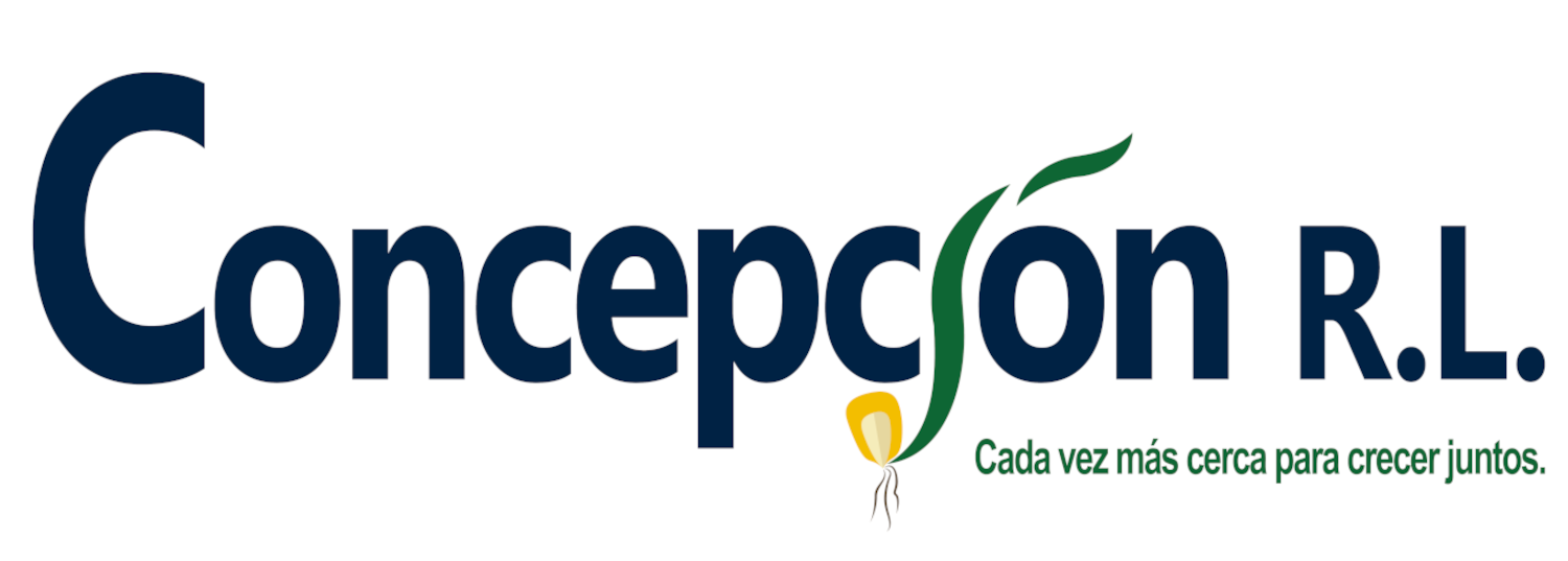 Concepción